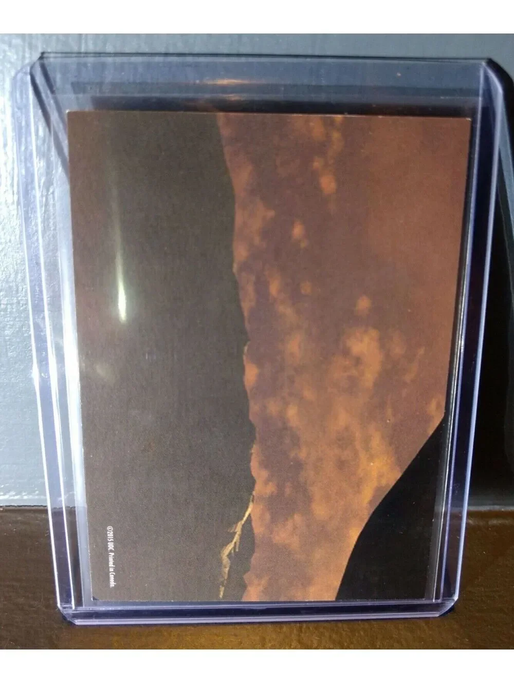 2015 Upper Deck Dinosaurs Troodon #S-14 Trading Sticker Card
